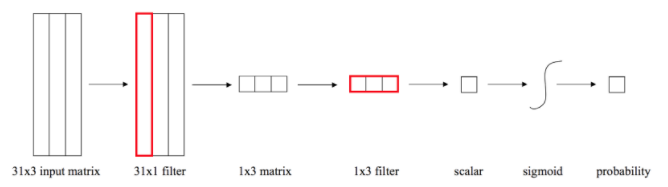 Network architecture used for the analysis.