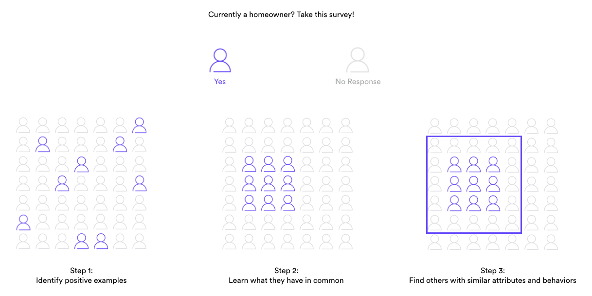 audience expansion