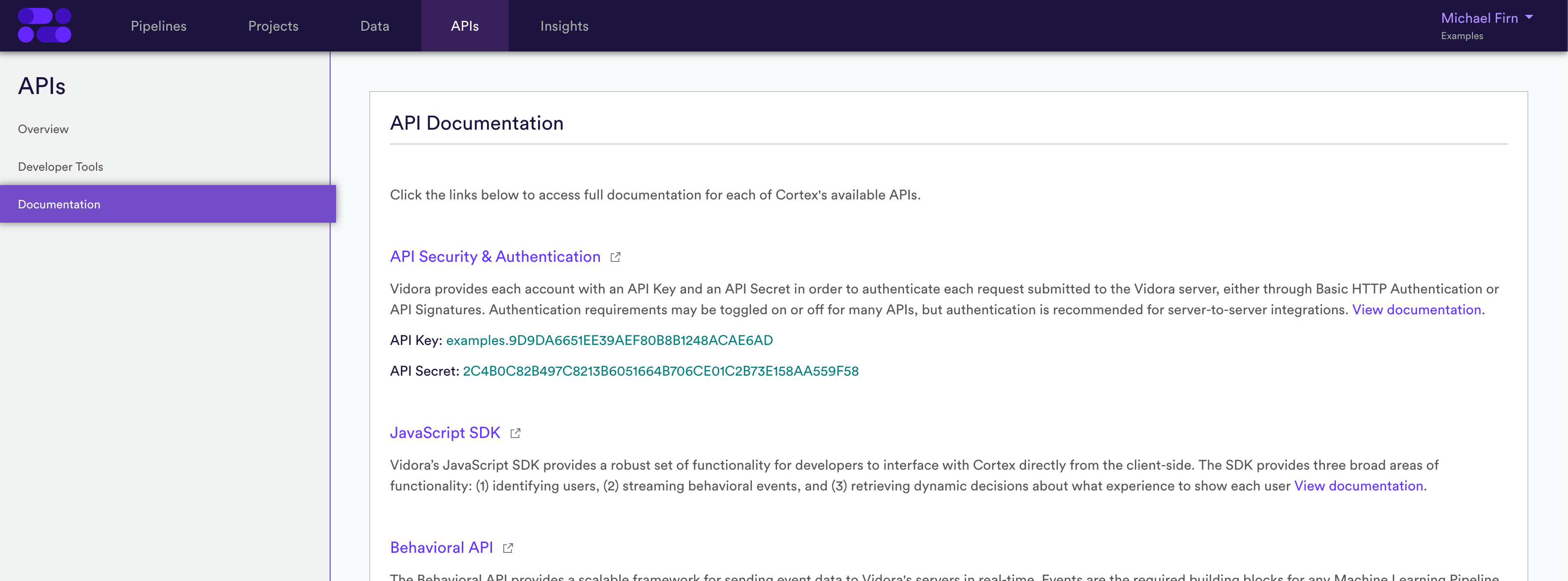 Using the Developer Authentication Tool