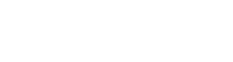 Salesforce DMP