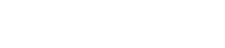Segment